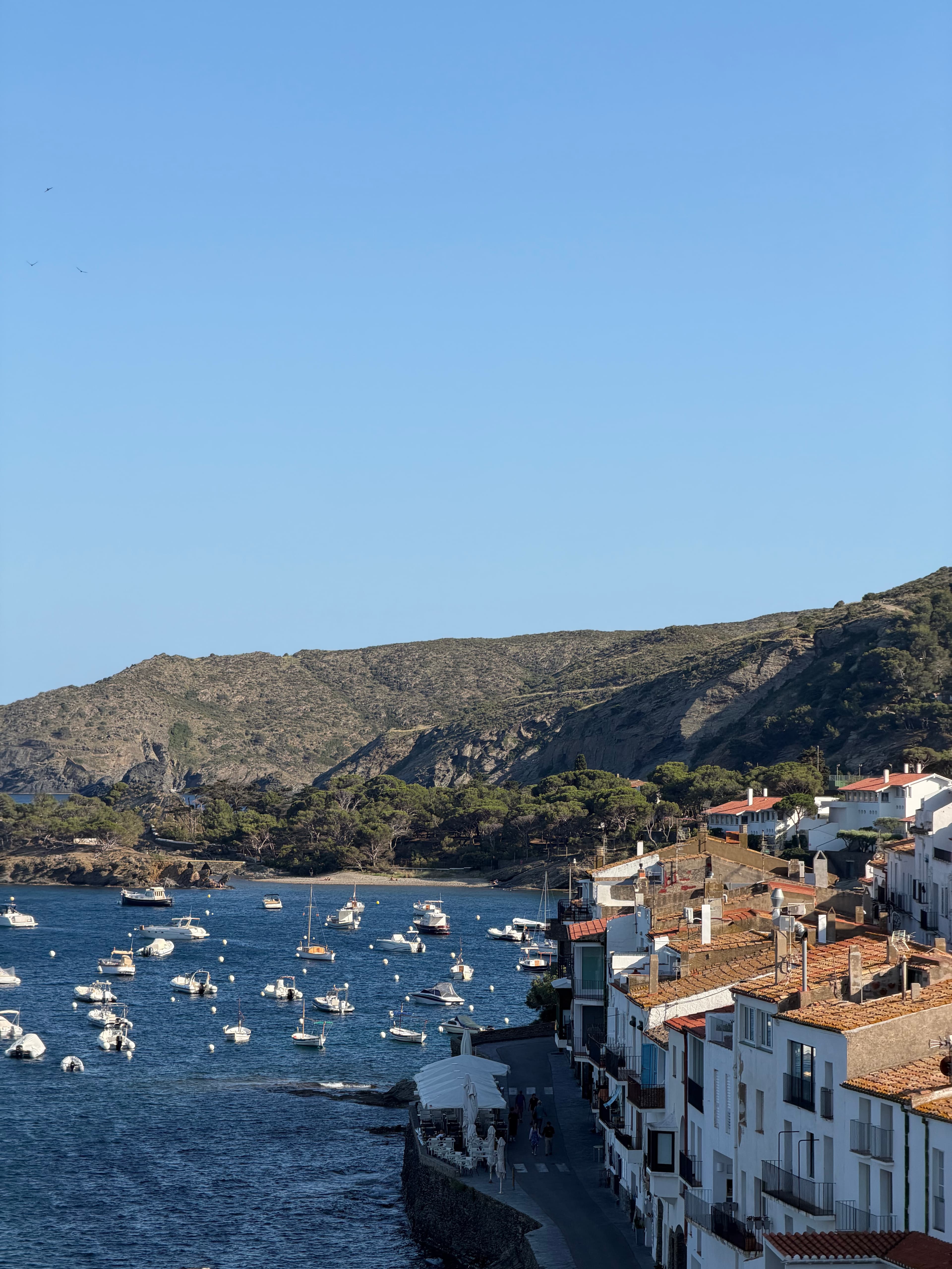 Front de mer et port de Cadaqués en Catalogne